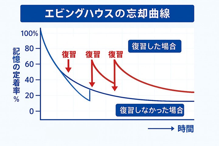 エビングハウスの忘却曲線
